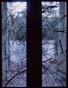 Fissure Series-Wind